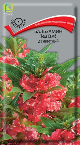 Том Самб двуцветный Ц(Поиск)