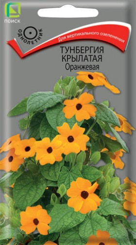 Оранжевая крылатая Ц(Поиск) тунбергия