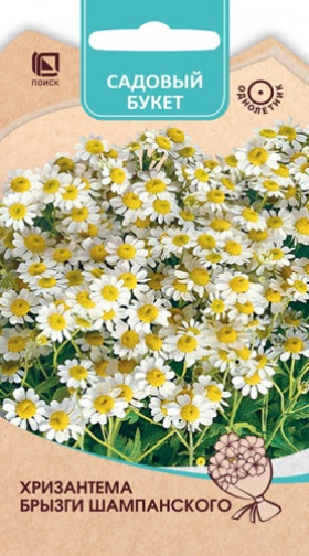 Брызги шампанского Ц(Поиск)