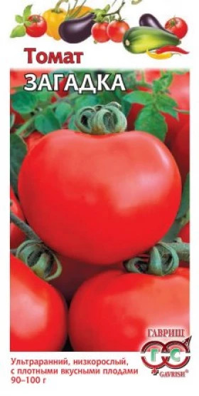 Загадка Ц(Г)