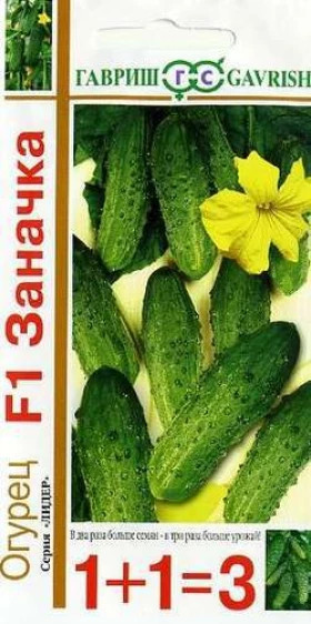 Заначка сер.1+1-20 шт. Ц(Г)