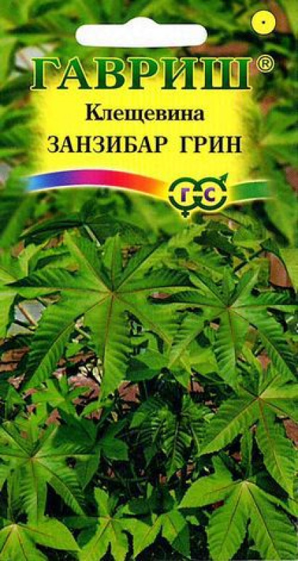 Занзибар Грин Ц(Г)