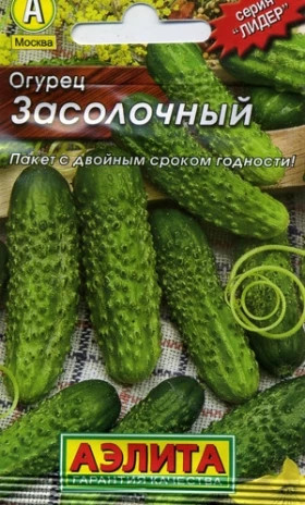 Засолочный Лидер