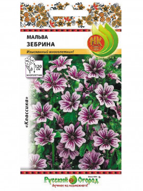 Зебрина Ц(Н)