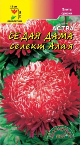Седая дама Алая/Цветущий Сад