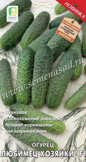 Любимец хозяйки Ц(Поиск)