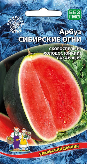 Сибирские огни Ц(УД)