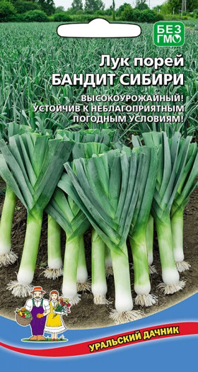 порей Бандит Сибири Ц(УД)