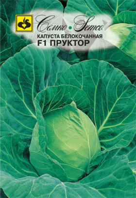 Пруктор (Семко)