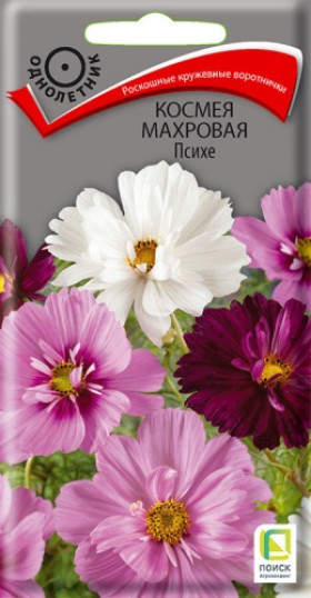 Психе махровая Ц(Поиск)