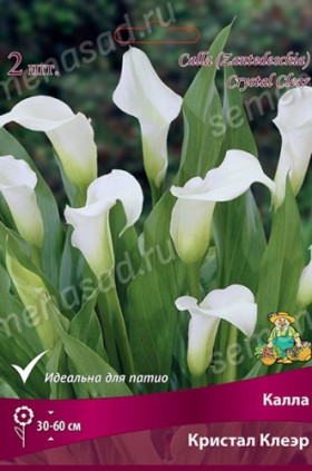 Кристал Клеэр 2шт Поиск