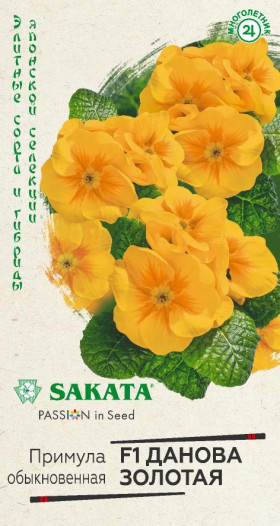 Данова золотая Ц(Г)