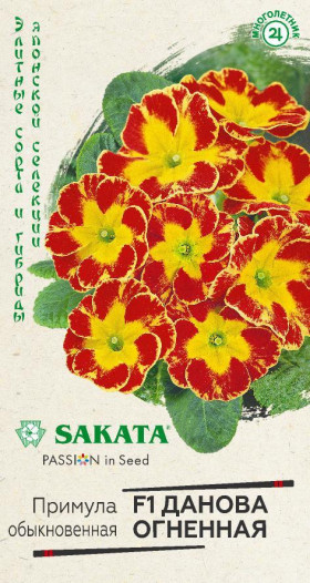 Данова огненная Ц(Г)