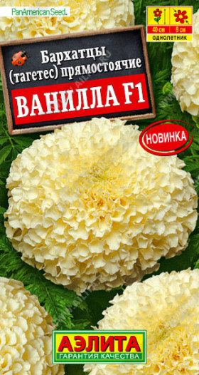 Ванилла прямостоячие Ц(А)