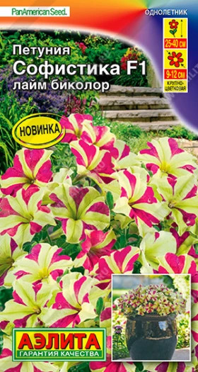 Софистика лайм биколор Ц(А)