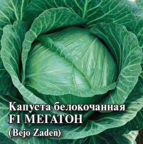 Мегатон б/к 100шт Гавриш