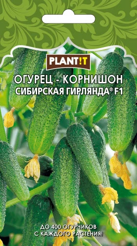 Огурец Сибирская гирлянда Plantit