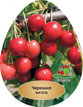 Фатеж 1шт Поиск