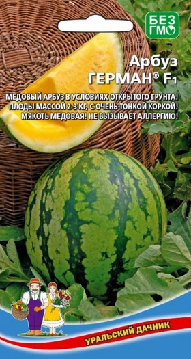 Герман Ц(УД) арбуз