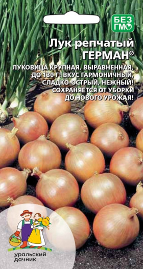 Герман Ц(УД) лук