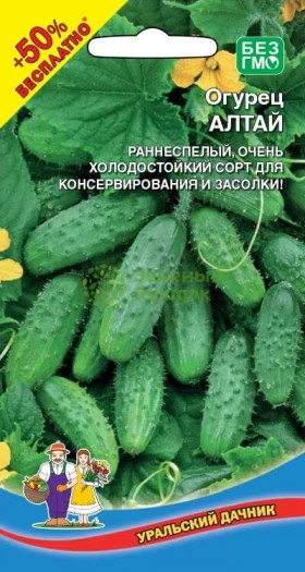 Алтай Ц(УД) +50% бесплатно