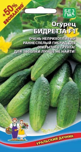 Бидретта Ц(УД) +50% бесплатно