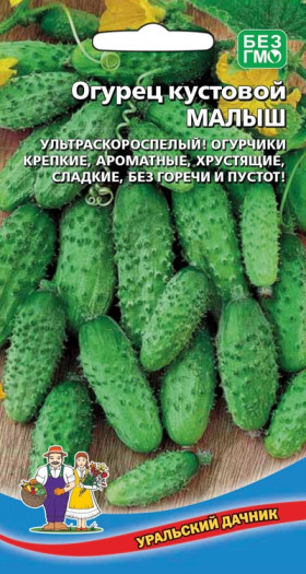Малышка кустовой Ц(УД)