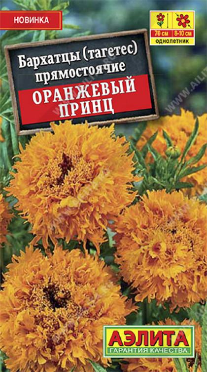 Оранжевый принц Ц(А)
