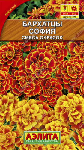 София откл смесь Ц(А)