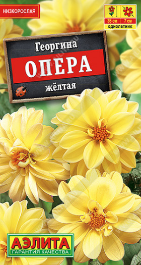 Опера желтая Ц(А)