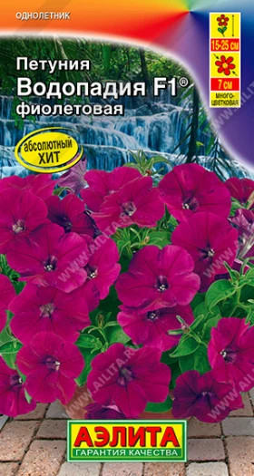 Водопадия фиолетовая Ц(А)