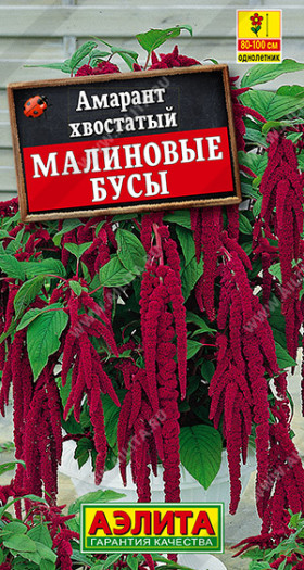 Малиновые бусы Ц(А)