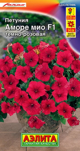 Аморе Мио темно розовая Ц(А)