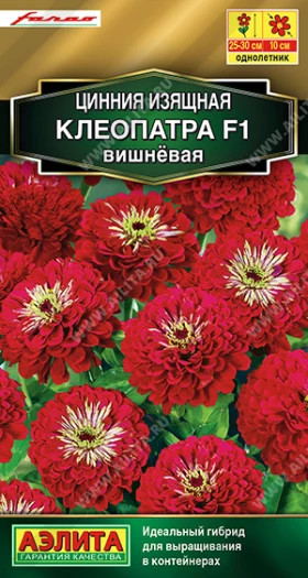 Клеопатра вишневая Ц(А)