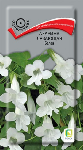 Белая лазающая Ц(Поиск)