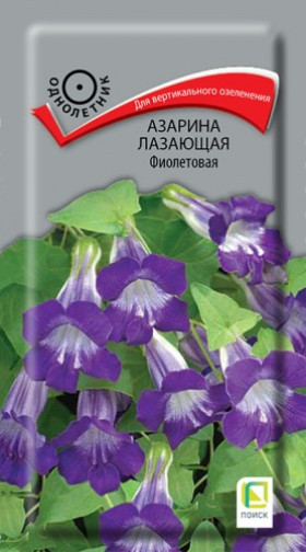 Фиолетовая лазающая Ц(Поиск) ()