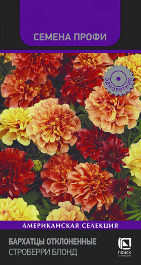 Строберри Блонд откл.Ц(Поиск)