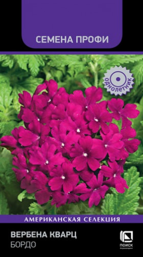 Кварц Бордо Ц(Поиск)