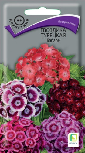 Кабаре турецкая Ц(Поиск)