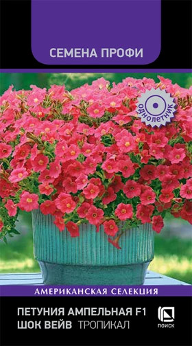 Шок Вейв Тропикал Ц(Поиск)