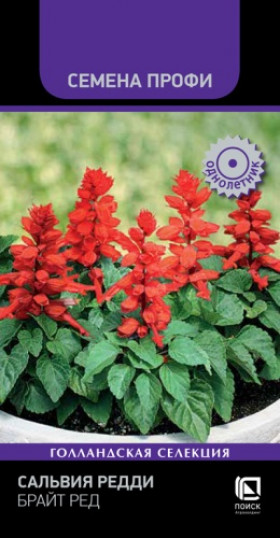 Редди Брайт Ред 10шт Ц(Поиск)