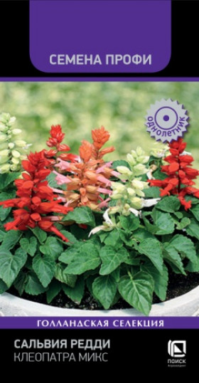 Редди Клеопатра Микс 10шт Ц(Поиск)