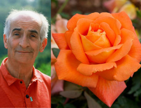 Луи де Фюнес (ЗКС) ЖИЛЯК