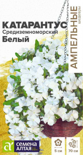 Средиземноморский Белый Ц(Алт)