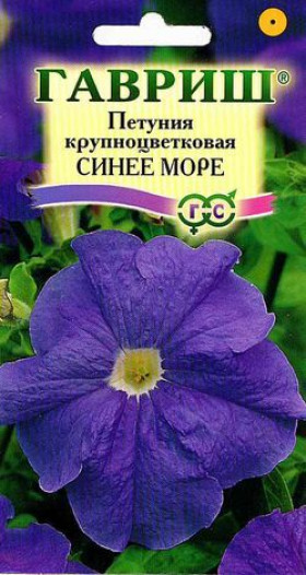 Синее море Ц(Г)