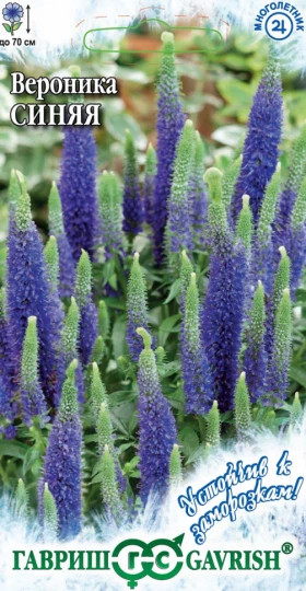 Синяя длиннолист.Ц(Г)