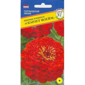 Скарлет Флейм Ц(П)