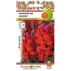 Скарлет Ц(Н)