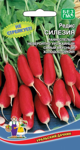 Силезия Ц(УД)