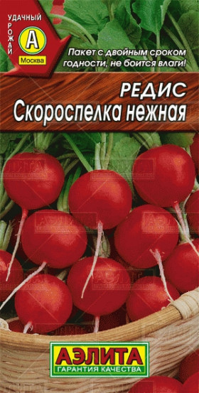 Скороспелка нежная Ц(А)*2